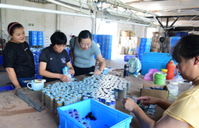返乡创业 助农就业