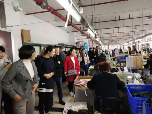 来料加工 2018年常山县来料加工经纪人培训班圆满完成